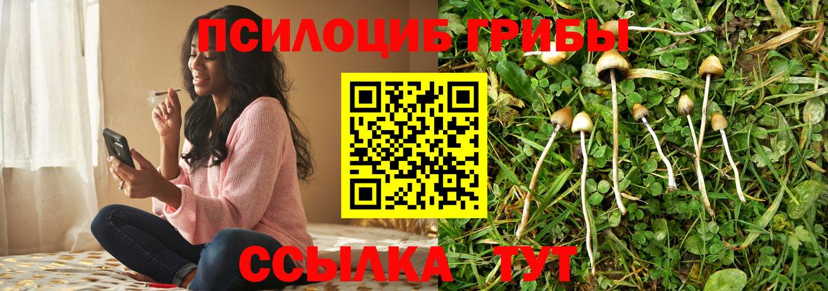 Псилоцибиновые грибы ЛСД Арсеньев